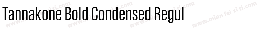 Tannakone Bold Condensed Regula字体转换